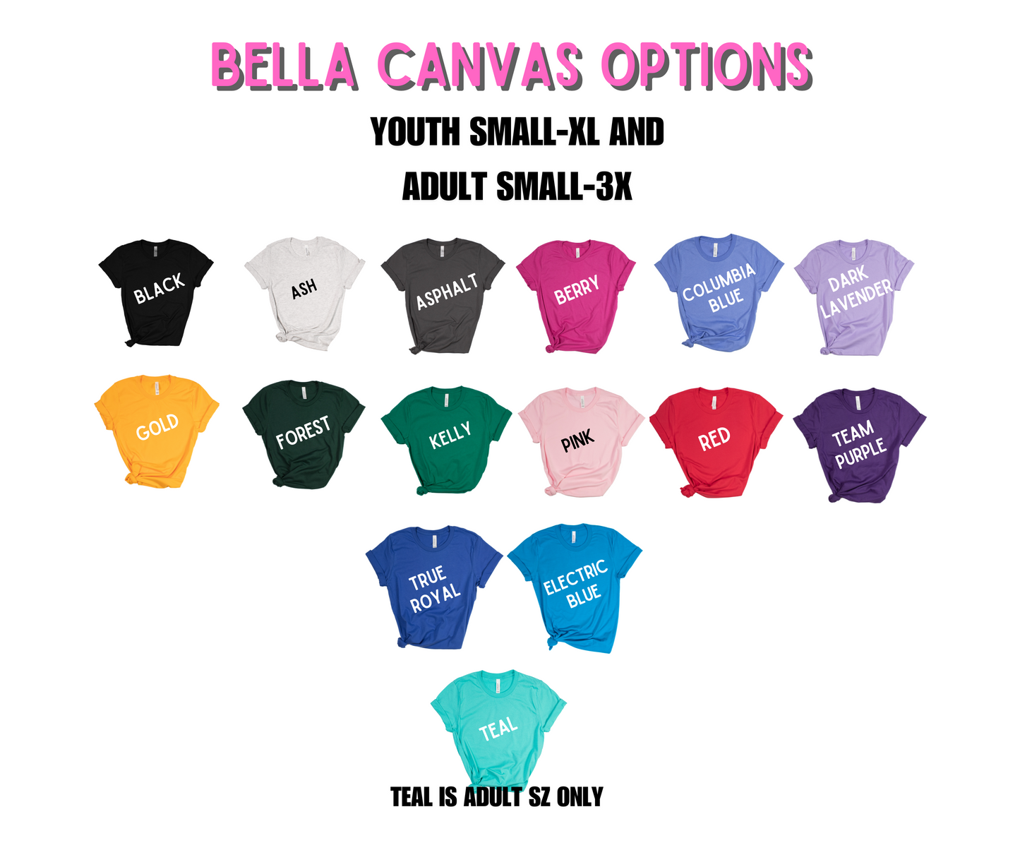 DISCIPLES Bella Canvas Tee
