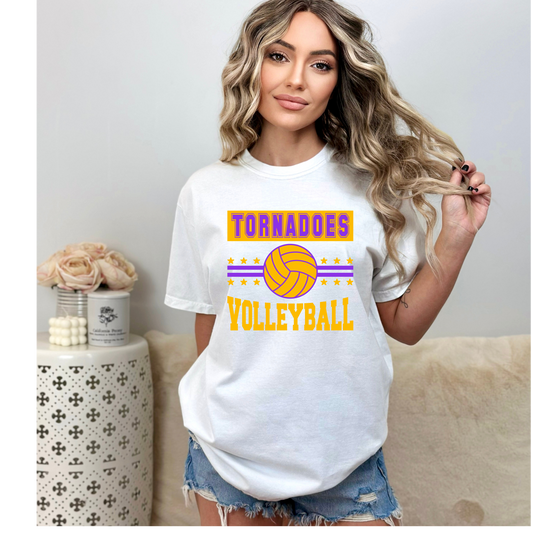 Volleyball 6.0